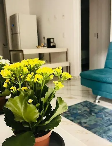 Apartamento No Andar Terreo
