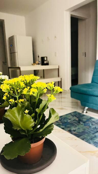 No Andar Terreo Apartment *